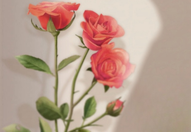 祝天下女神們節(jié)日快樂?。?！